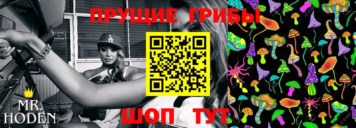 Галлюциногенные грибы Psilocybe  Вход с VPN  Рославль 
